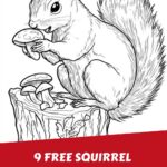 Squirrels to color in Pin