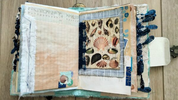 Journal spread with shell images