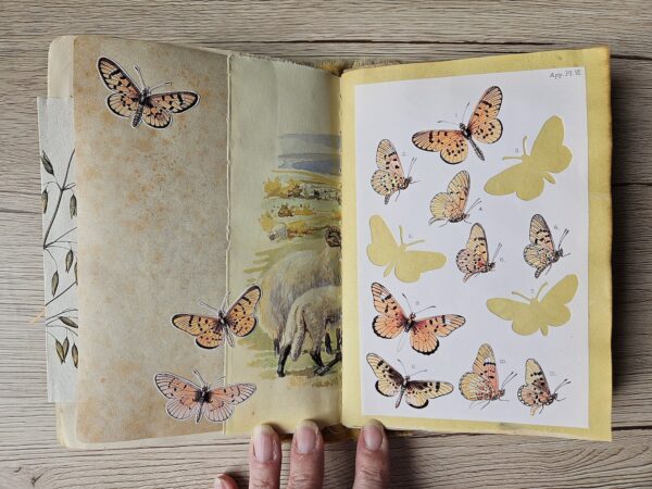 Journal spread with butterfly images