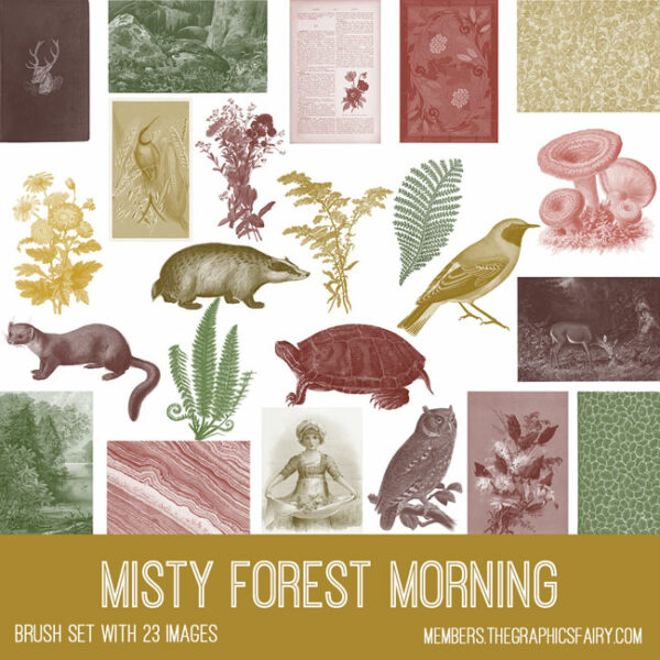 Misty Forest Morning Brush set