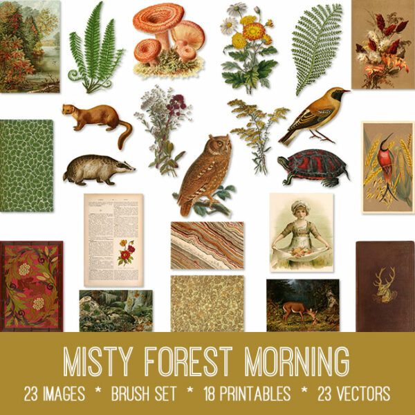 Misty Forest Morning Bundle