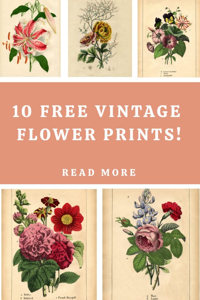 Free Vintage Flower Prints Pin