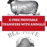 Printable Transfers Pin