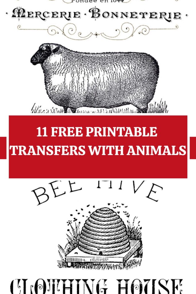 Printable Transfers Pin