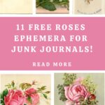 Ephemera with Roses Pin