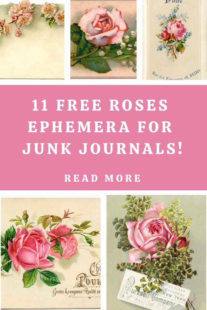 Ephemera with Roses Pin