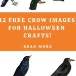 Free Crow Images for Crafts