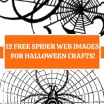 Free Spider Web images for Crafts