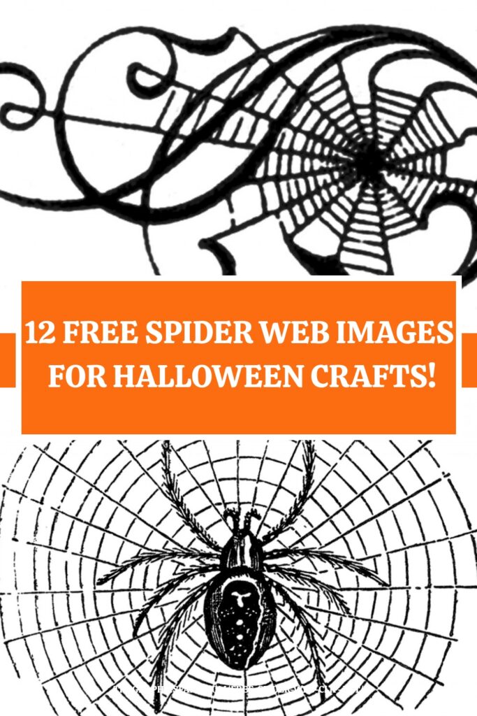 Free Spider Web images for Crafts