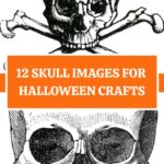 Skull Images Pin