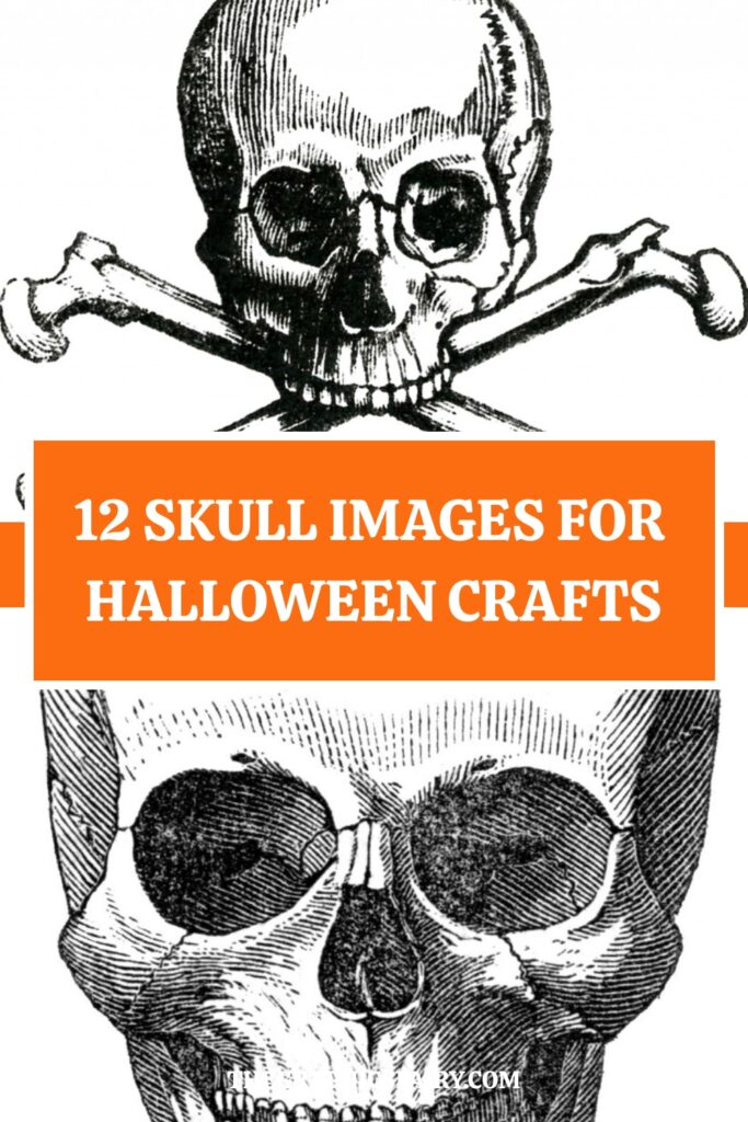 Skull Images Pin