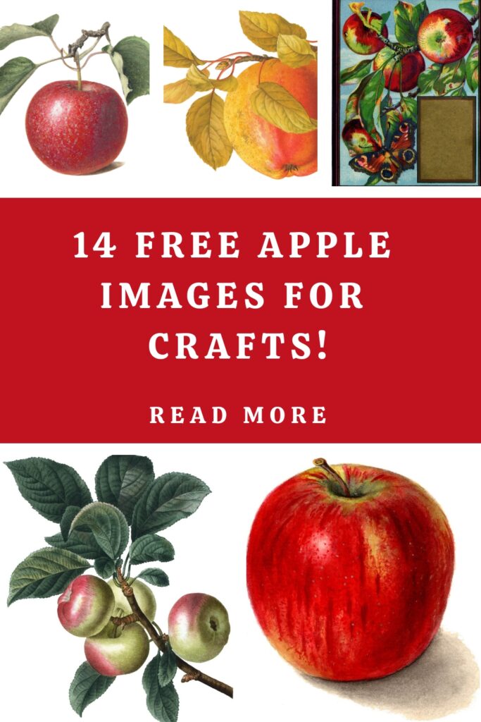 Free Apple Images for Crafts Pin