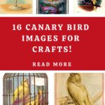 Canary Bird Images for Crafts