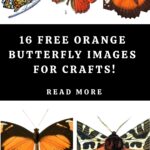 Orange Butterfly Pin