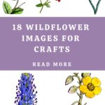 Wildflower Images for Crafts Pin