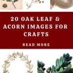 Oak Leaf images pin