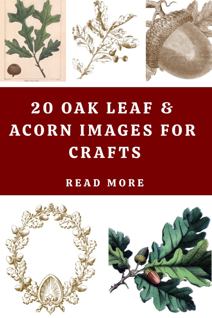 Oak Leaf images pin