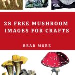 Free Mushroom images for crafts pin