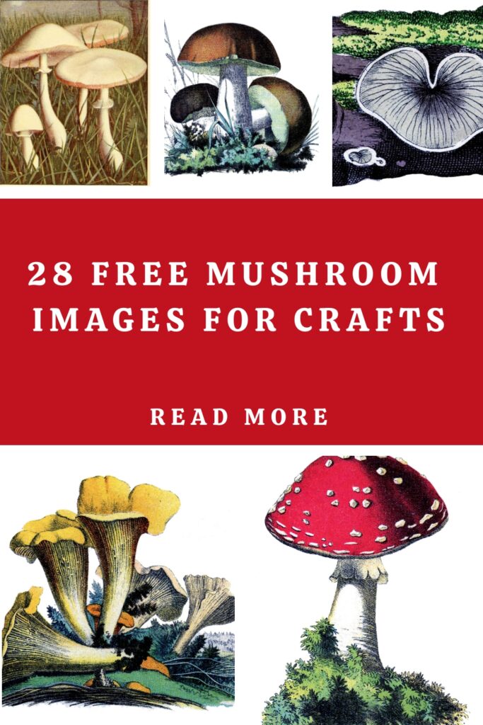 Free Mushroom images for crafts pin