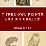 7 Free Owl Prints Pin