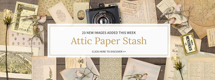 Attic Paper Stash Image