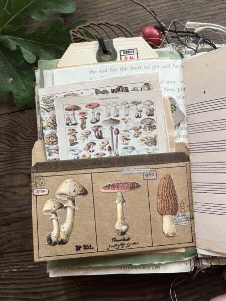 Journal page with pocket and toadstool prints