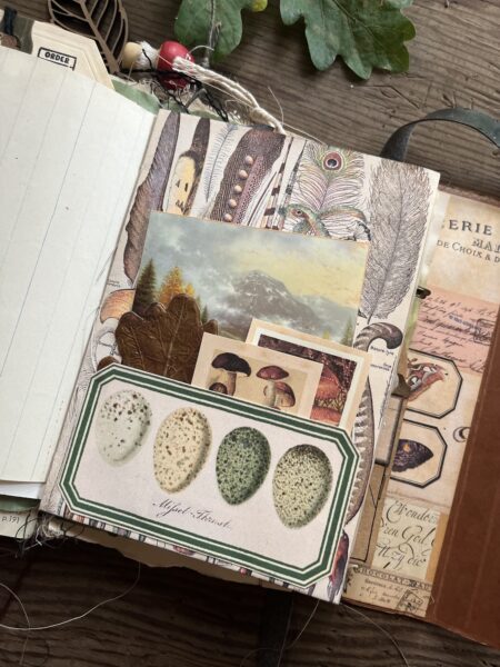 Journal spread with pocket with birds egg images