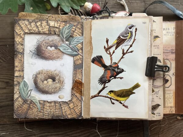 journal spread with bird image