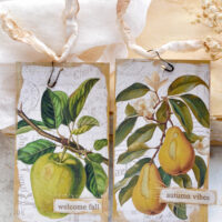 vintage fall harvest tags - apple tag ad pear tag