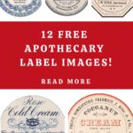 Apothecary Ephemera Pin