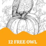 Owl Coloring Page Pin