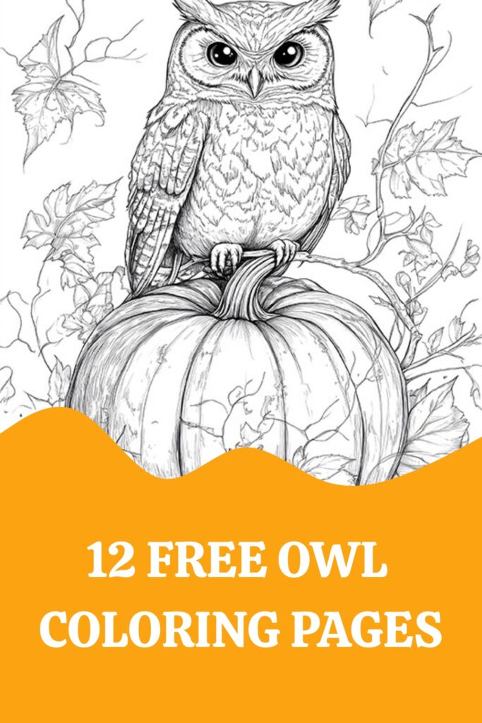 Owl Coloring Page Pin