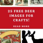 Deer Images for Crafts Pin