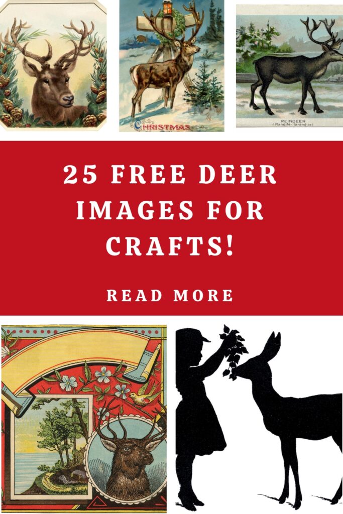 Deer Images for Crafts Pin