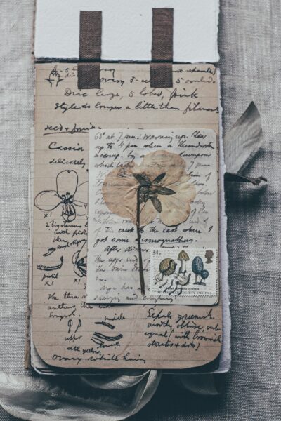 Journal page wth pressed flower