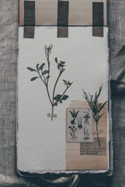 Journal page with pressed flowers