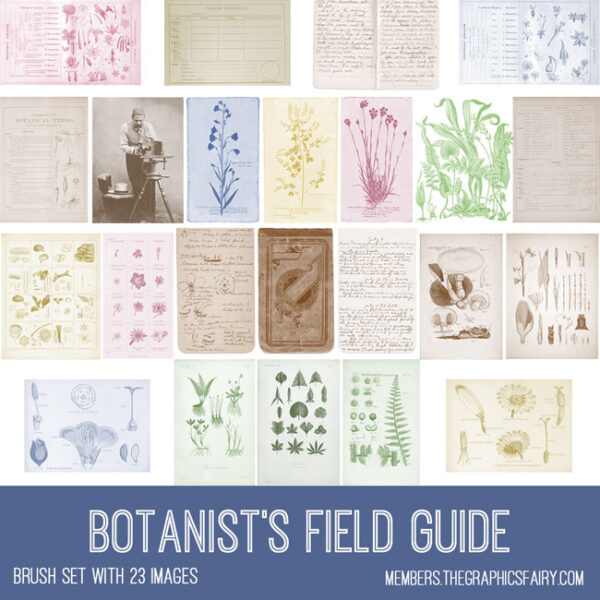 Botanist's Field Guide Brushes