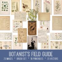 Botanist's Field Guide Bundle