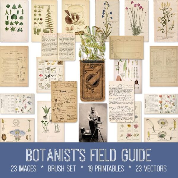 Botanist's Field Guide Bundle