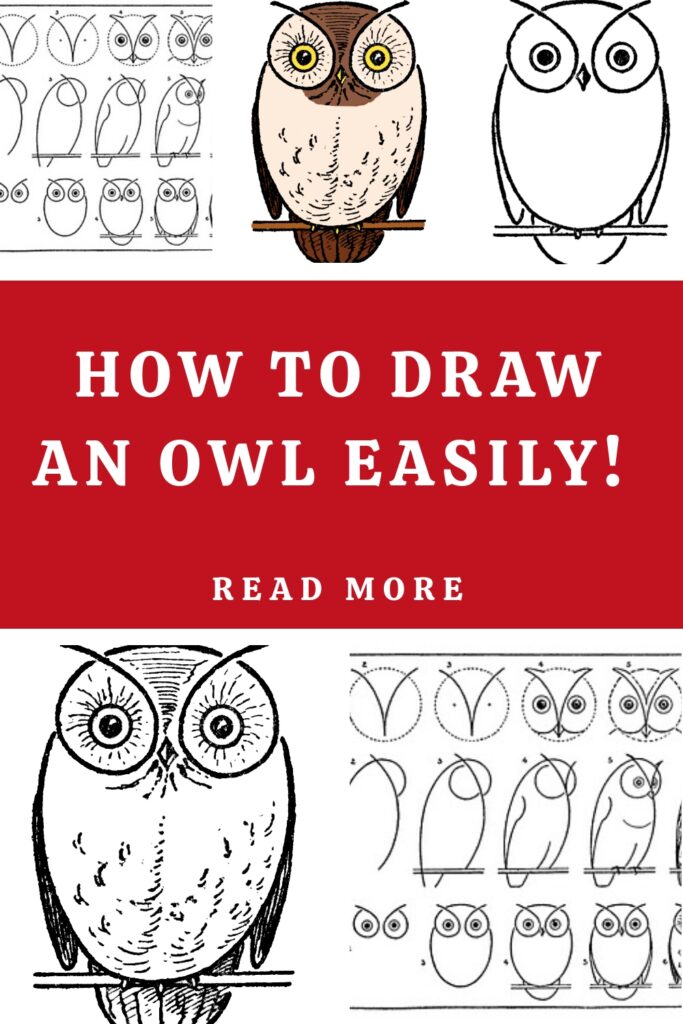 How to Draw an Owl Easily Pin