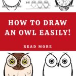 How to Draw an Owl Pin
