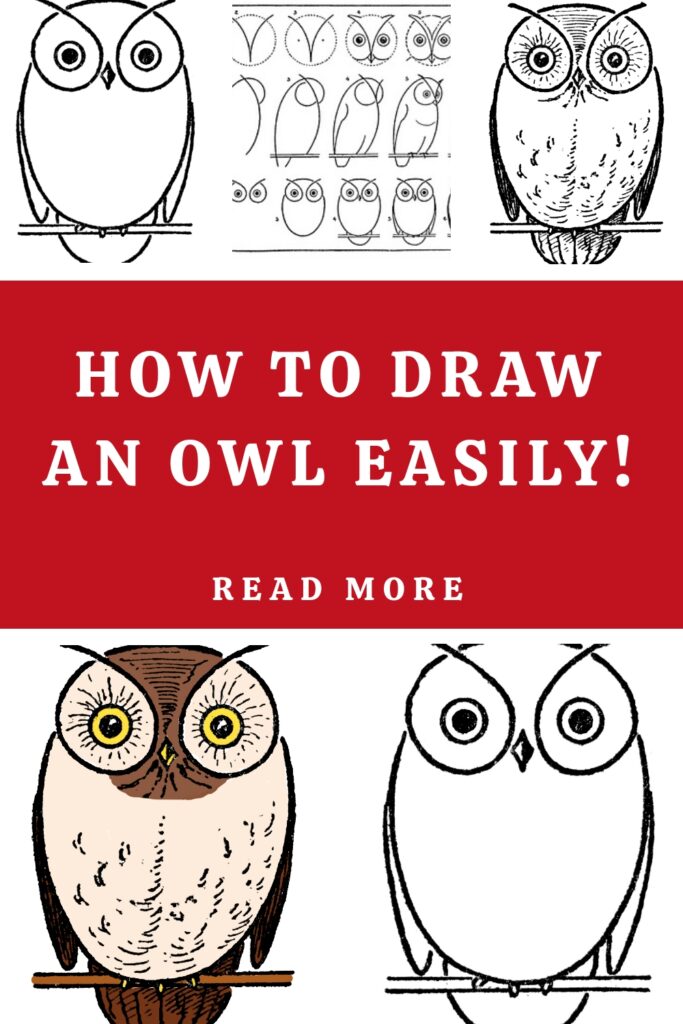 How to Draw an Owl Pin