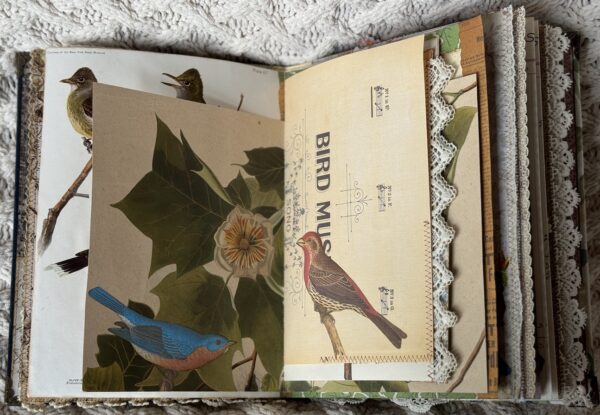 Junk journal spread with birds and flower image