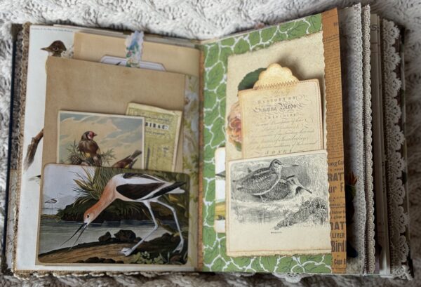 Junk journal spread with bird image and pocket