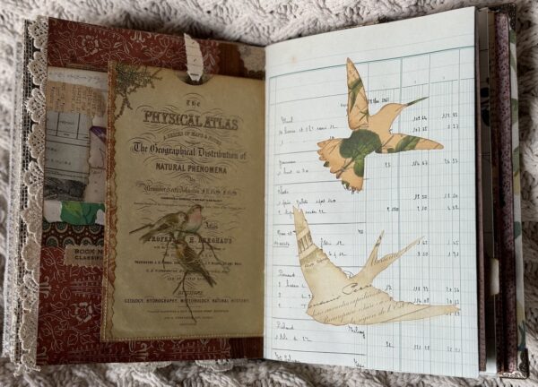 Journal spread with bird images