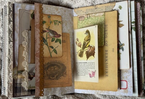 Junk journal spread with bird and nest images