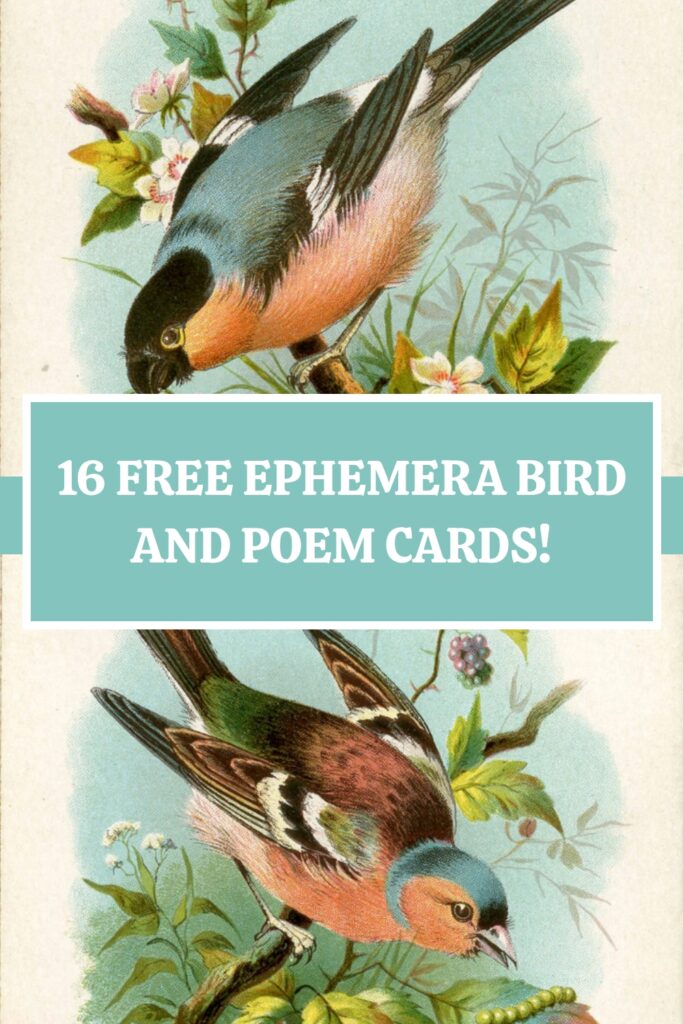 Bird and Poem Ephemera Pin