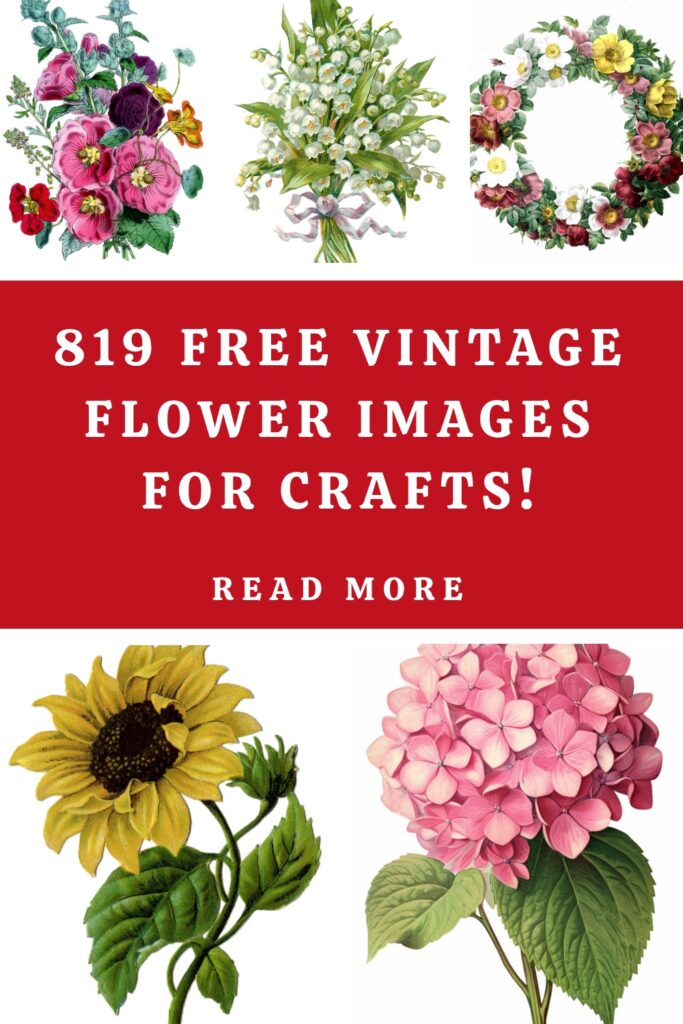 Free Vintage Flower Images for Crafts Pin