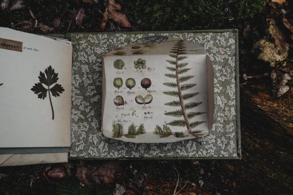 Journal pocket with seed images