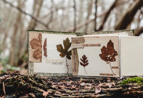 Journal spread with dried leaves attached